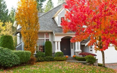 4 Tips to Maximize Fall Curb Appeal