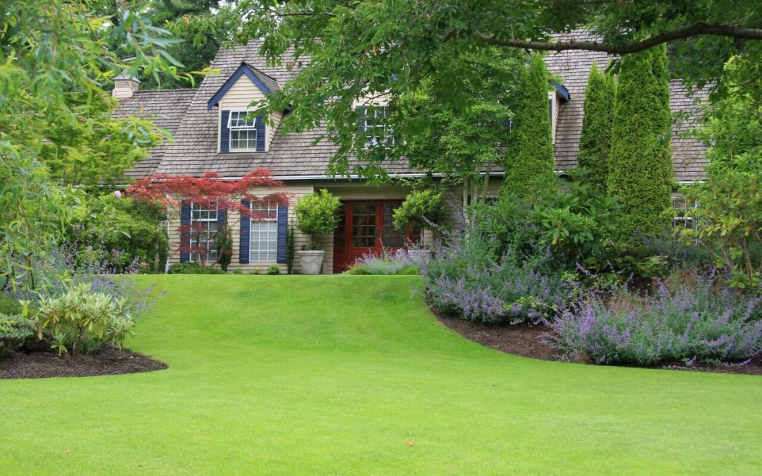 Summer Lawn Maintenance